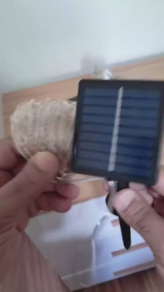 Cordão de luz solar, painel e estaca saindo da caixa